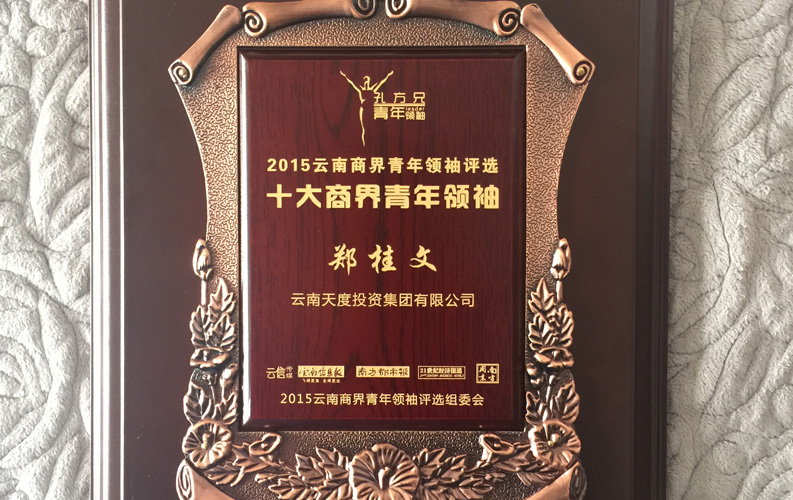 在&ldquo;互聯(lián)網(wǎng)大時(shí)代&rdquo;的背景下，天度作為本土很大和很有名的互聯(lián)網(wǎng)服務(wù)企業(yè)，為近萬(wàn)家傳統(tǒng)企業(yè)轉(zhuǎn)型互聯(lián)網(wǎng)+提供了服務(wù)和幫助，獲此獎(jiǎng)項(xiàng)后，我們將再接再厲，創(chuàng)造更高的社會(huì)價(jià)值